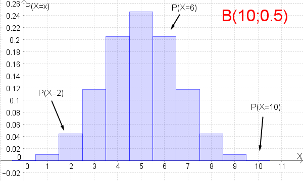 Datei:Wfkt-B(10,0).png